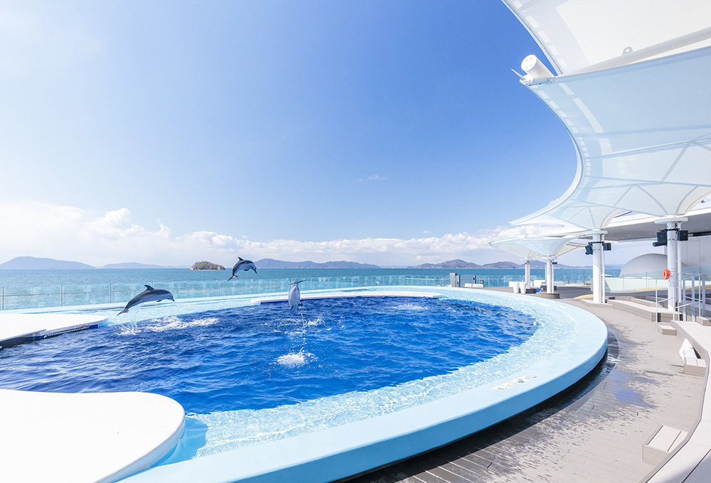 海豚プール
